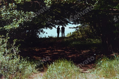 Preview: silhouette of a loving couple on a background of clouds