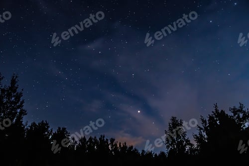 Preview: Night starry sky over forest. Tree silhouettes against backdrop of stars.