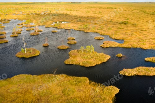 Preview: An aerial view of an autumn bog in Yelnya, Belarus, autumn. Ecosystems ecological problems climate