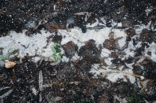 Preview: Snow falling on ground