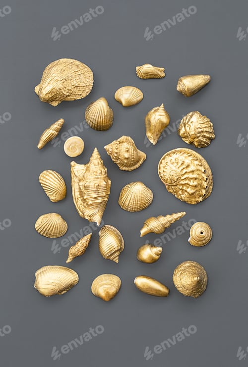 Preview: Gold coloured seashells collection.