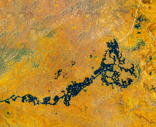 Preview: Miory District, Vitebsk Region, Belarus. The Yelnya Swamp. Upland And Transitional Bogs With
