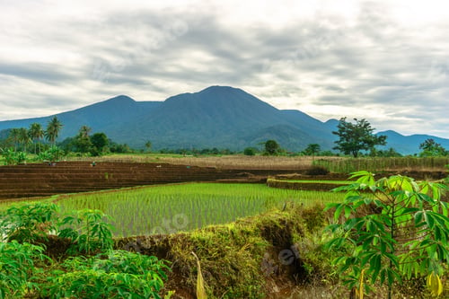 Preview: Beautiful morning view in Indonesia, panoramic landscape