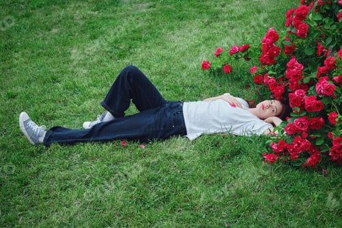 Preview: Teenage girl lying on grass, surrounded by red roses, hands behind head, relaxing in garden