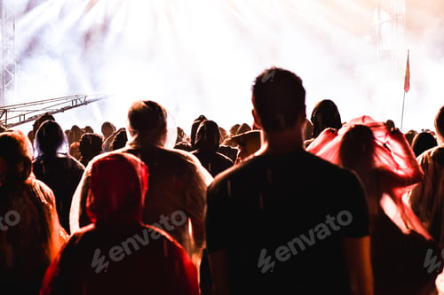 Preview: Cheering crowd of people in front of bright stage lights. Music concert