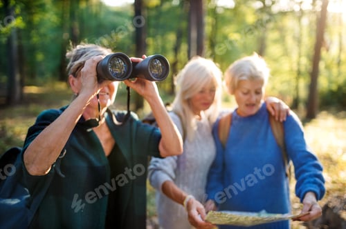 Preview: Senior women friends outdoors in forest, using map and binoculars.