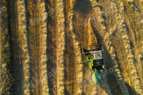 Preview: Combine Harvesting Golden Wheat