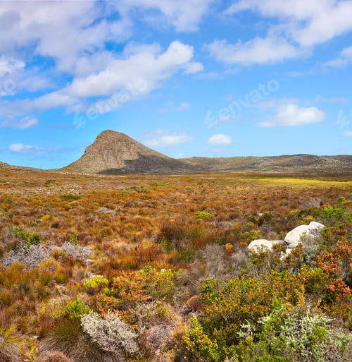 Preview: Cape Town, South Africa
