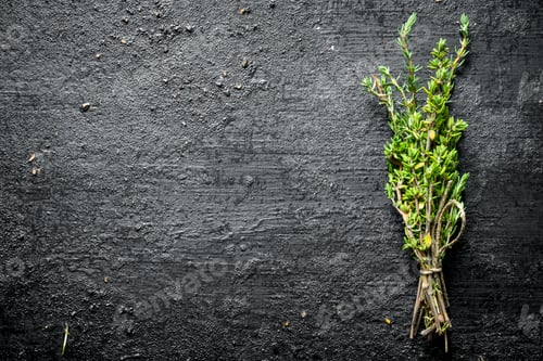 Preview: Bunch of fresh thyme.