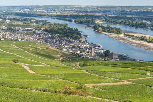 Preview: Beautiful scenery of hills and vineyards above Rudesheim am Rhein, Germany