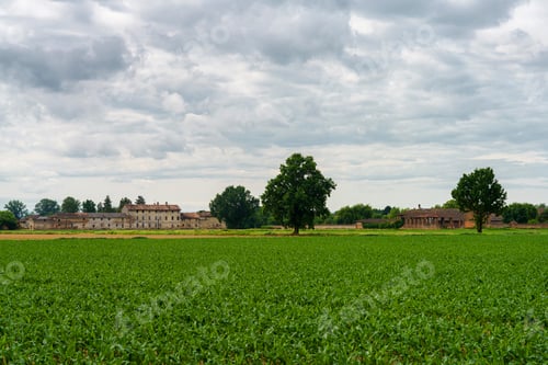 Preview: Rural landscape near Certosa di Pavia, Italy