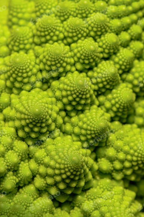 Preview: Romanesco head close-up, green Romanesco broccoli, texture.