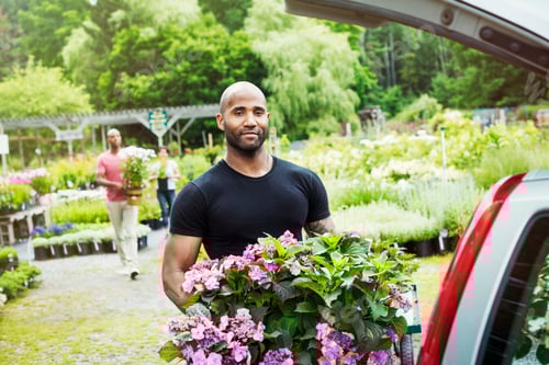Preview: Car parked at a garden centre, a man loading flowers into the boot.