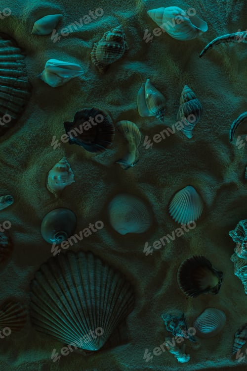 Preview: top view of seashells and sea stones on sand with dark light