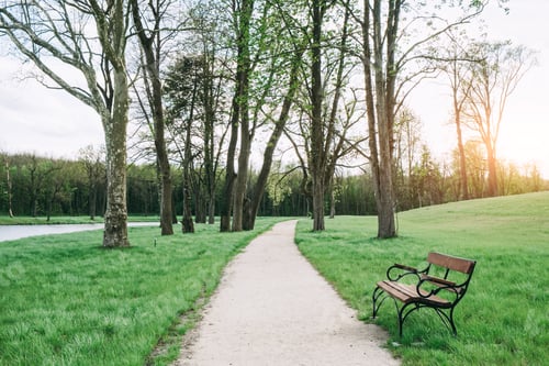 Preview: Path in the park