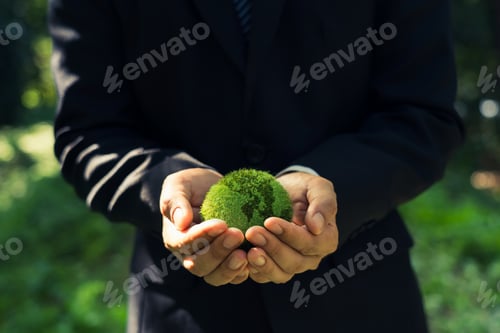 Preview: Green Planet in Your Hands. Save Earth. Environment Concept