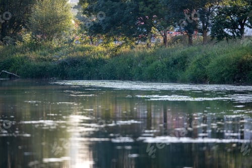 Preview: Scenic view of a lake in a park surrounded by trees