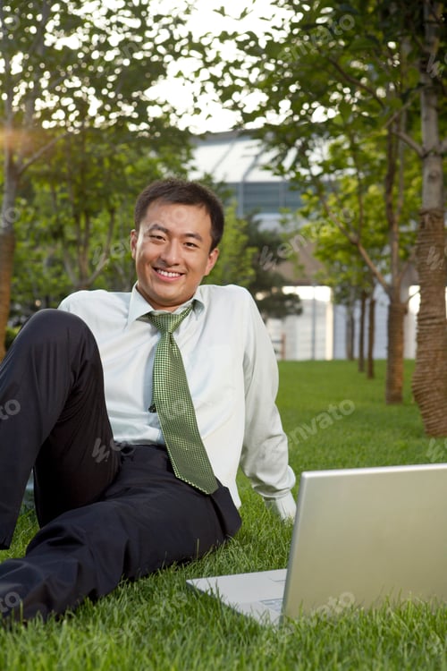 Preview: Businessman Sitting Using Laptop In Park