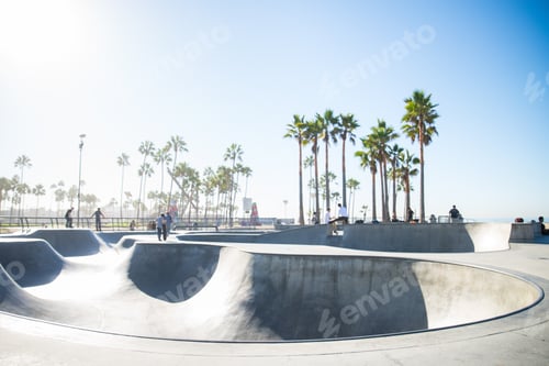 Preview: Venice beach skatepark