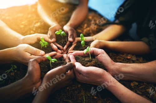 Preview: Closeup shot of a group of unrecognizable people holding plants growing out of soil