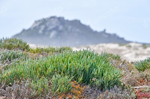 Preview: Rocky coast - Western Cape