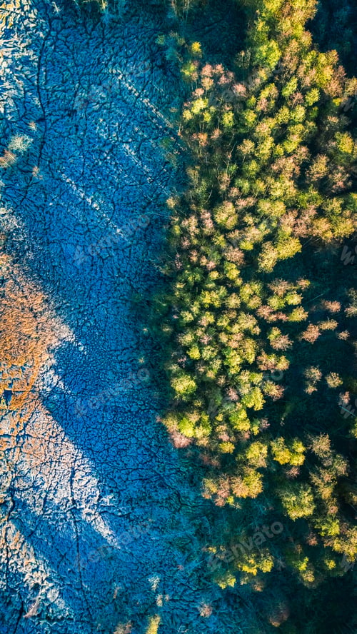 Preview: Frozen swamps in autumn, Poland. Wildlife in Poland.