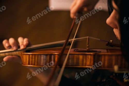Preview: Young Lady Playing the Violin