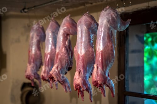 Preview: Raw fresh rabbit meat