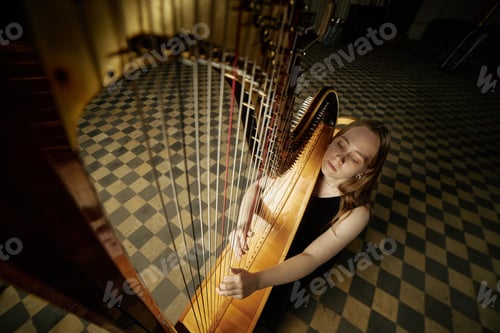 Preview: Fisheye of Female Musician Playing Harp Performing Music in Church with Checkered Floor