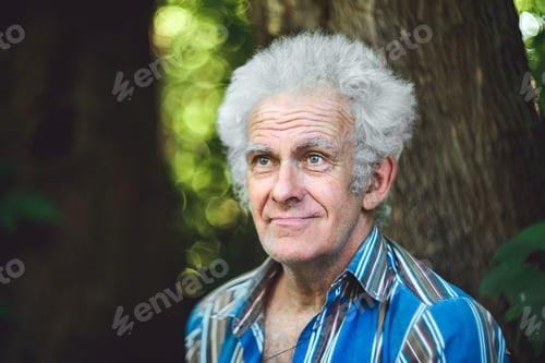 Preview: Portrait of an old man with gray hair
