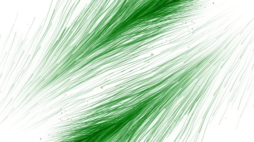 Visualização: Lindas penas abstratas suaves em um fundo branco. Movimento. Formas fofas de penas coloridas
.