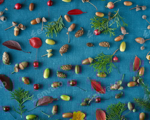 Preview: Autumn background of berries, small wild apples, acorns and leaves on bright blue background.