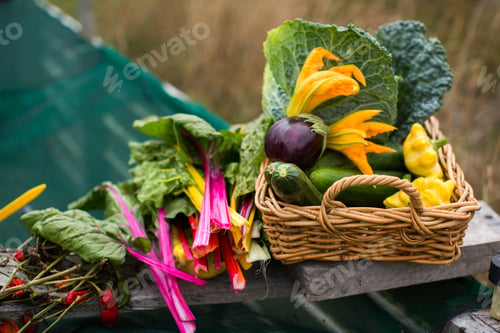 Preview: Lot of different vegetables in weaved baskets with a blurry background - healthy eating lifestyle