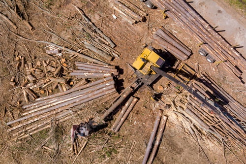 Preview: Logs are loading into an enormous transportation truck by the operator of a crane that has just