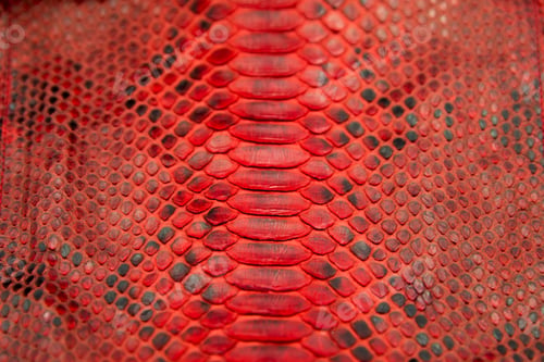 Preview: Red textured python snake skin
