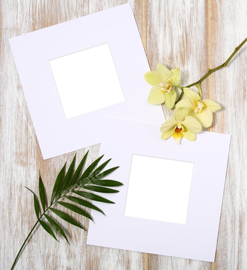 Preview: Paper frames with yellow orchid and palm leaves