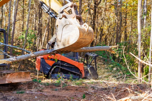 Preview: With help of a tractor builder uproots trees at forest in preparation for construction