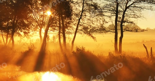Preview: Panorama rays of the rising sun