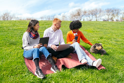 Preview: Coworkers working outdoor in a park with devices and pet dog