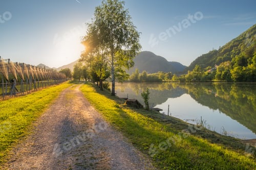 Preview: Sun shining through tree next to gravel road and lake at sunrise