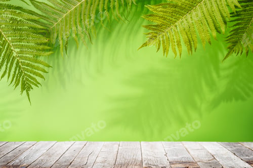 Preview: Template with empty table and wall with leaves shadow