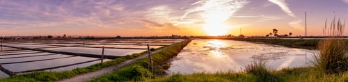 Preview: Salt flats of Aveiro at sunset