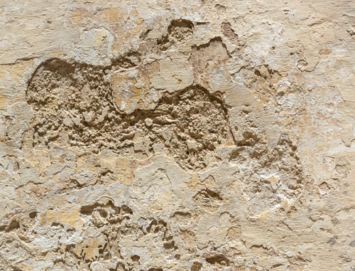 Preview: Textured Beige Wall with Eroded Plaster Details