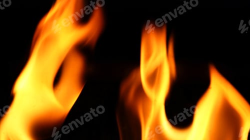Preview: Fire close-up on black background.