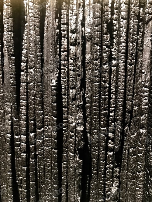 Preview: Chared burned your bed wood texture