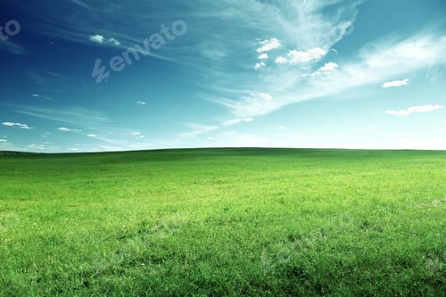 Preview: Field Of Spring Grass
