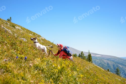 Woman Hiking with Dog in Mountain Meadow