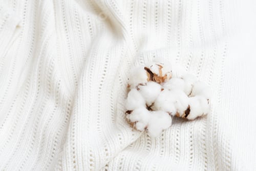 Preview: Raw cotton buds on cotton texture