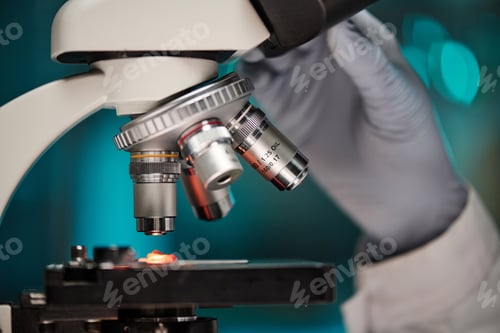 Preview: Artificial Meat Under Microscope Magnification