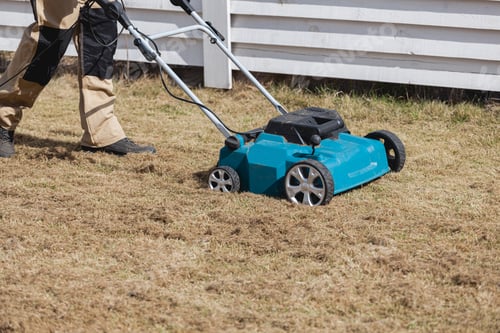 Preview: Scarifying lawn with scarifier, Man gardener scarifies the lawn and removal of old grass